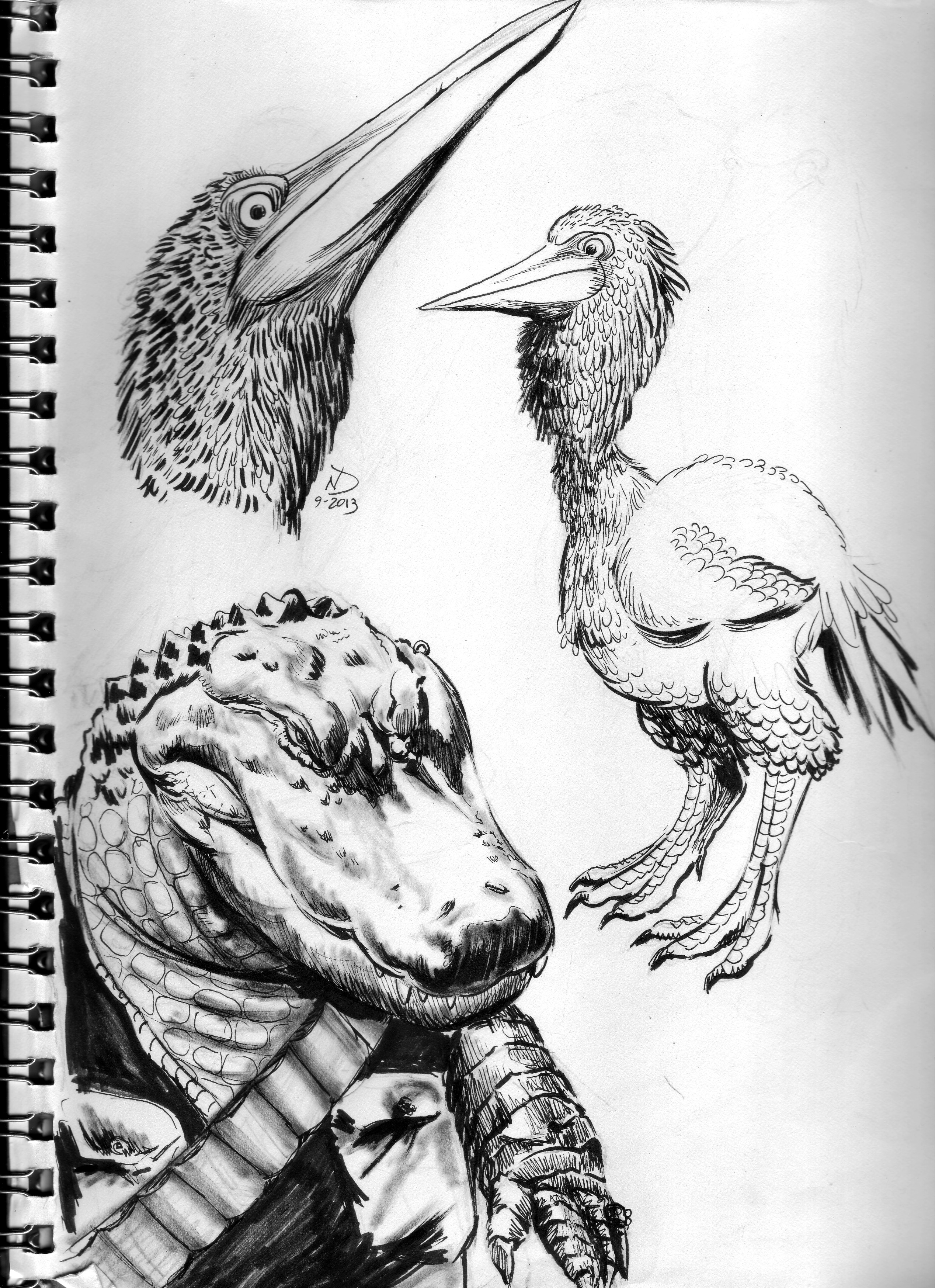 GatorBirds