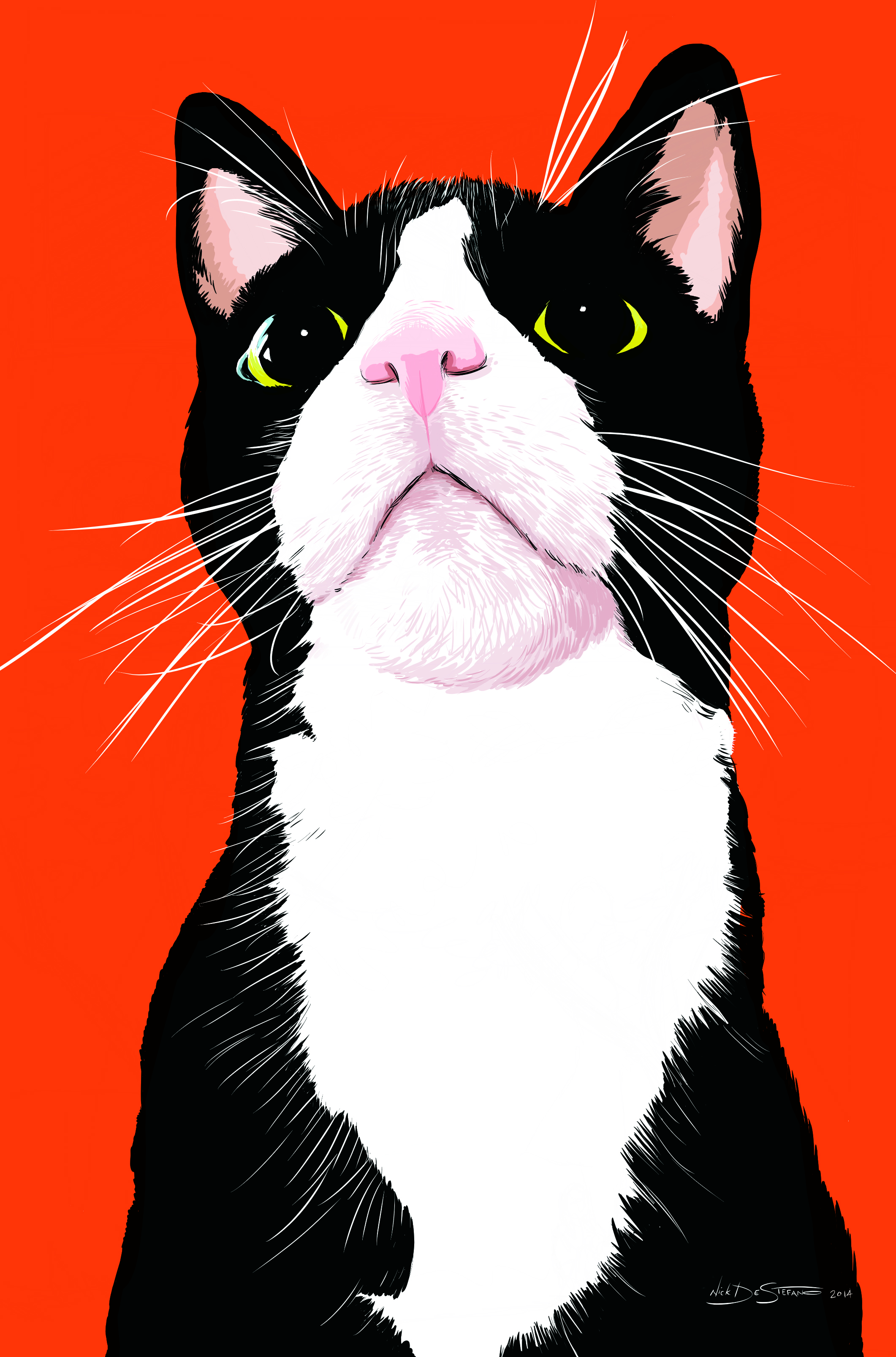 Sonny_portrait
